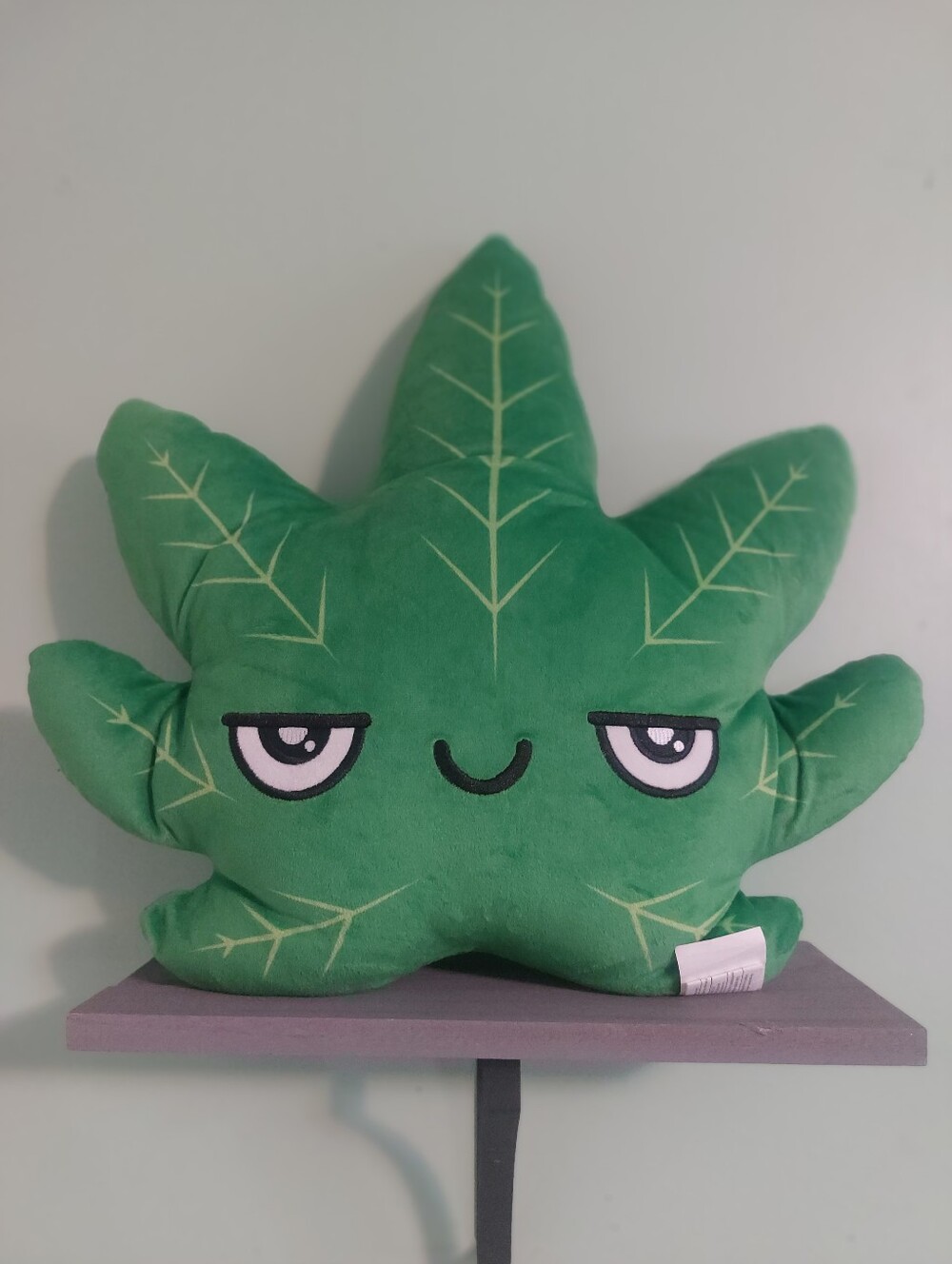 Spencers Relax Bud Plant Plush